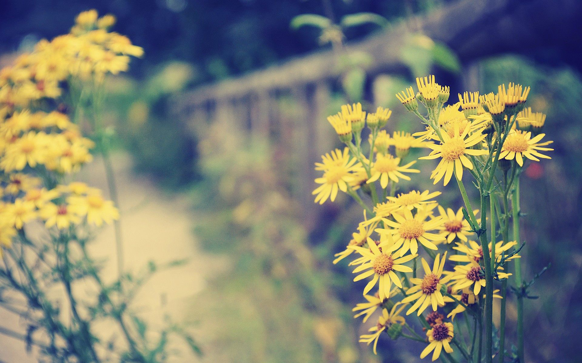 在一无所有的年纪生活还得继续,一无所有的年纪生活真的不易