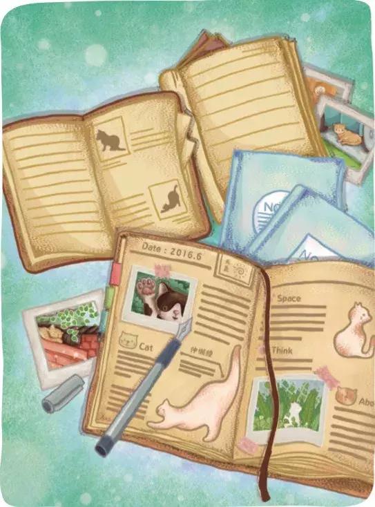 桌游猫街,美好的桌游猫街