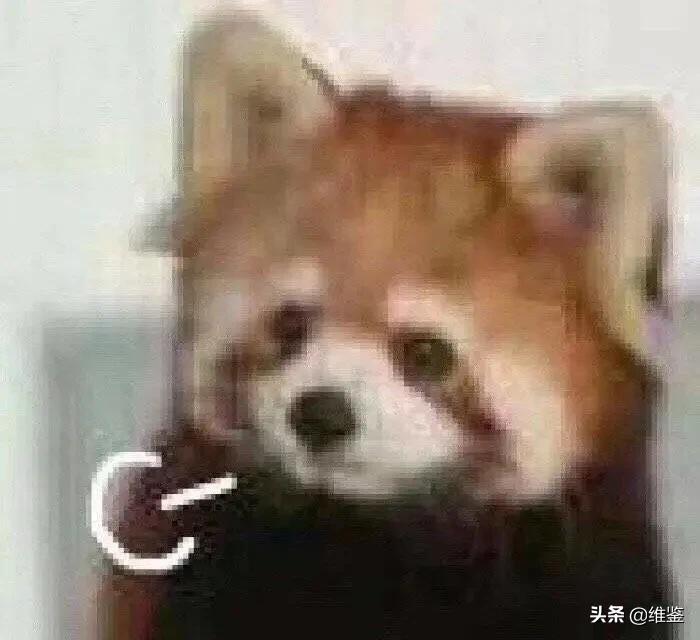 淘宝已被限制购买商品,淘宝本店已经被限制购买