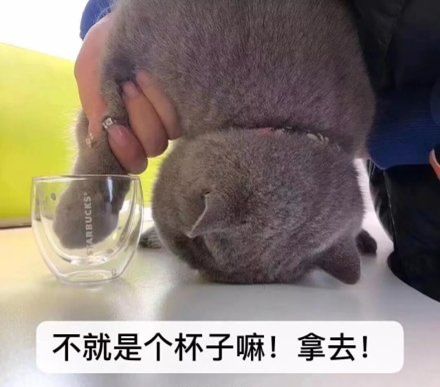 星巴克爆款猫爪杯组合,星巴克杯最值得收藏的系列