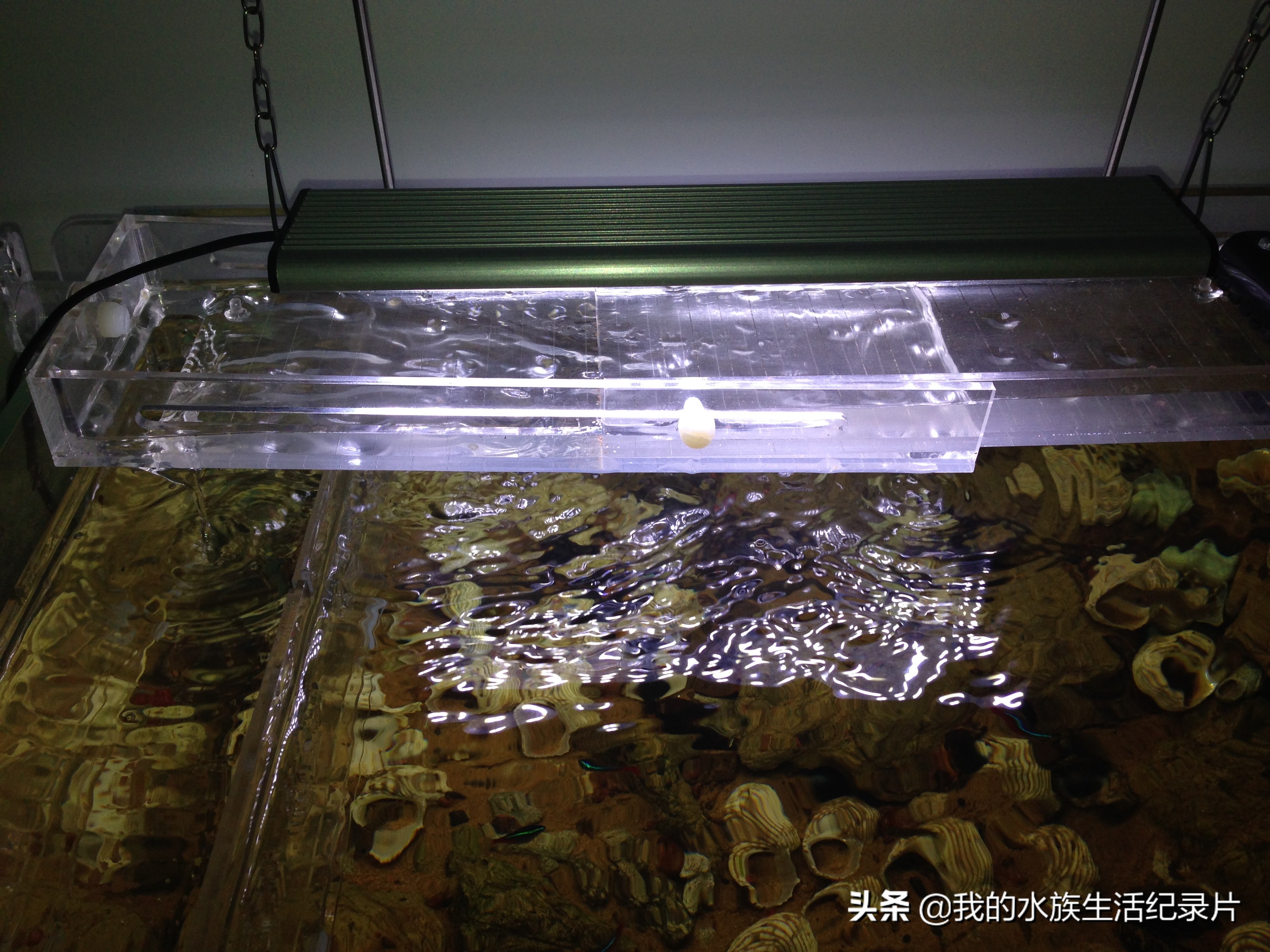 亚克力板做鱼缸用什么胶水,用亚克力板做鱼缸需要多厚