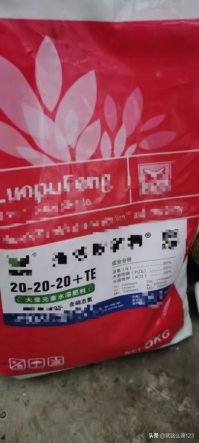 鍐滆嵂鎬庝箞杈ㄥ埆鐪熷亣,缃戣喘鍐滆嵂鎬庢牱杈ㄥ埆鐪熷亣