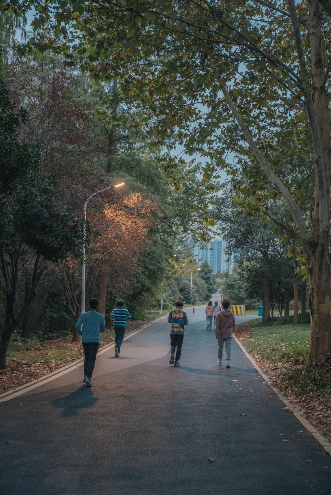 又是全国第一!华中农业大学,全体武汉人的骄傲