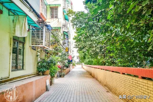 遇到老实人就嫁了吧,遇到贵州人你就嫁了吧