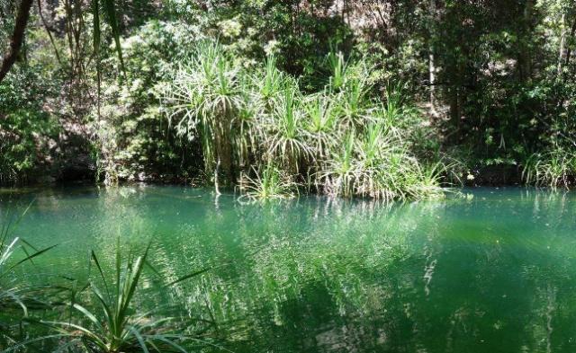 澳洲月薪10000澳币的工作,澳洲绿化工人工资