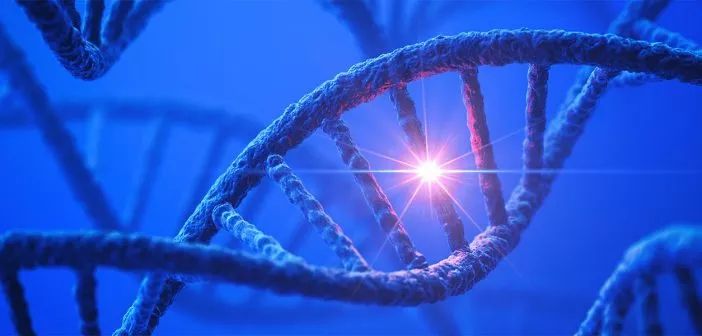 儿童急性白血病化疗时间表,儿童白血病治疗全过程