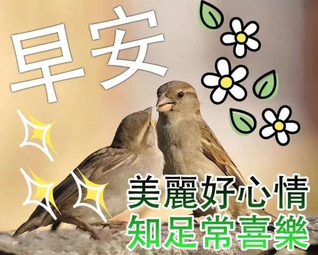 祝福表情包｜穷则独善其身，达则兼济天下