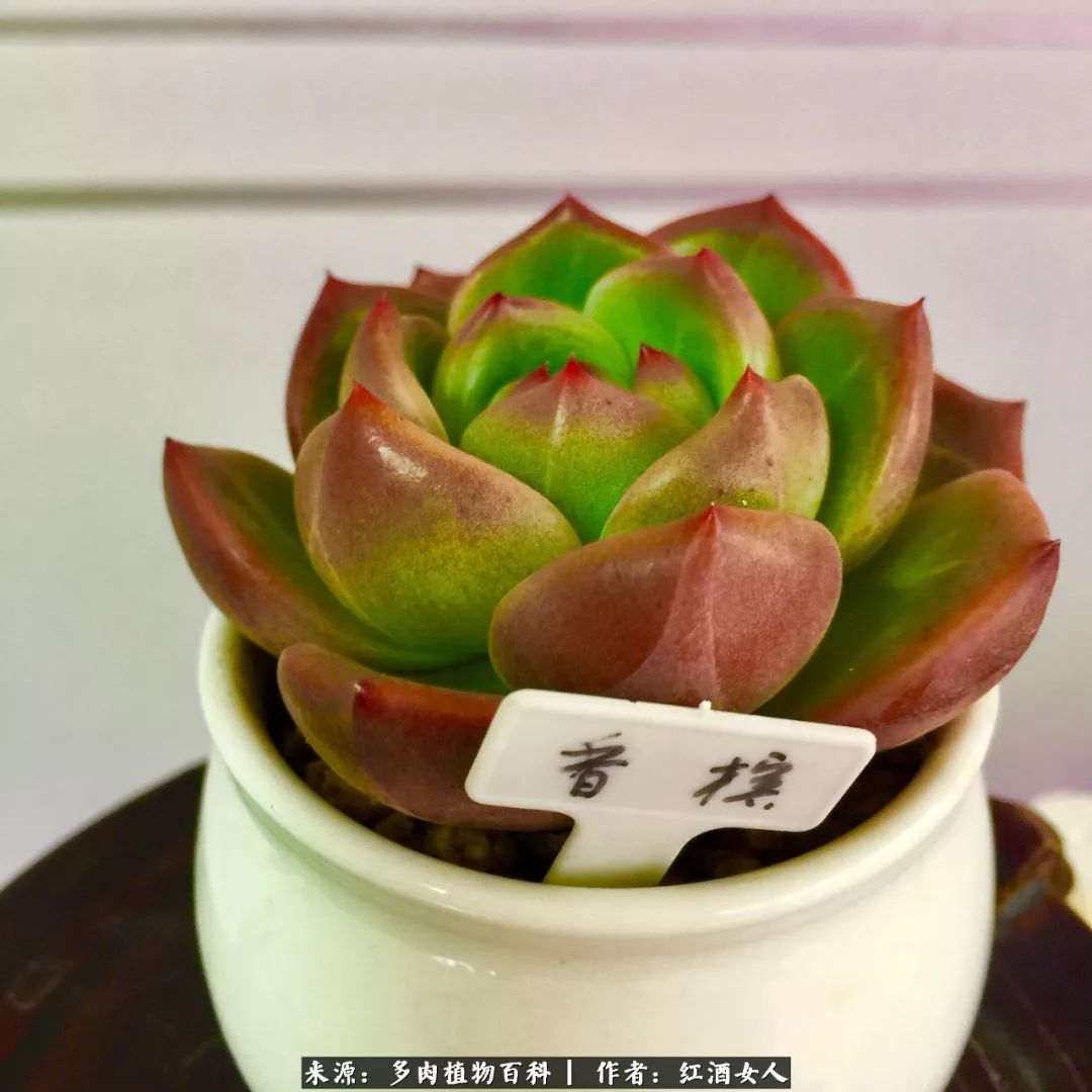 记录走过的美景留下美好的回忆,记录走过的每一段美好时光