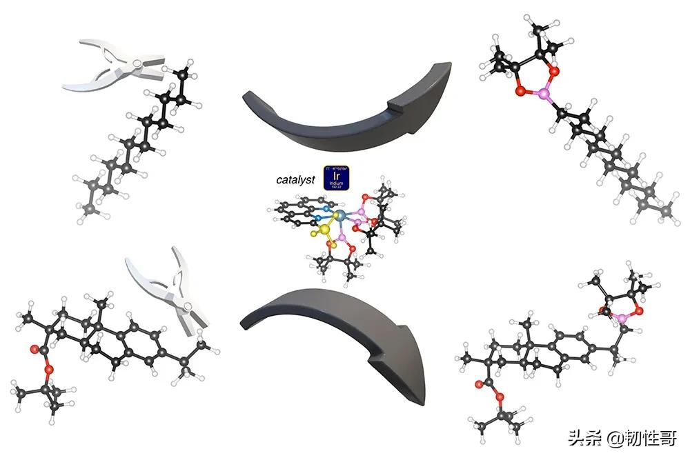 自然界中最常见的C-H键，终于被攻破了