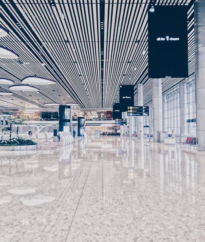 新加坡夺冠,新加坡获奥运游泳冠军