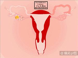 大姨妈刚走，却又流了血，我该怎么办？