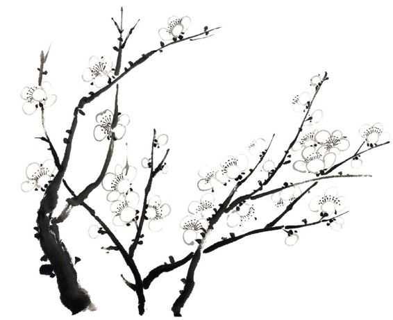 国画梅花上的雪画法步骤教程视频,零基础国画入门画梅花教程