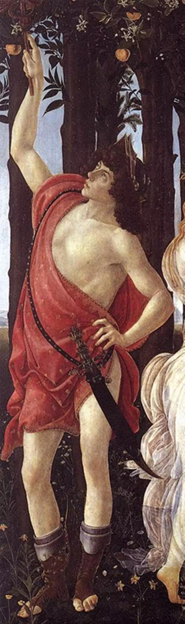 橘园图片大全,橘园拍视频