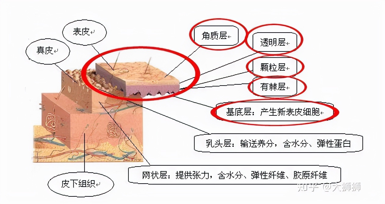 美容仪乱象是怎么回事,美容仪到底是不是骗人的