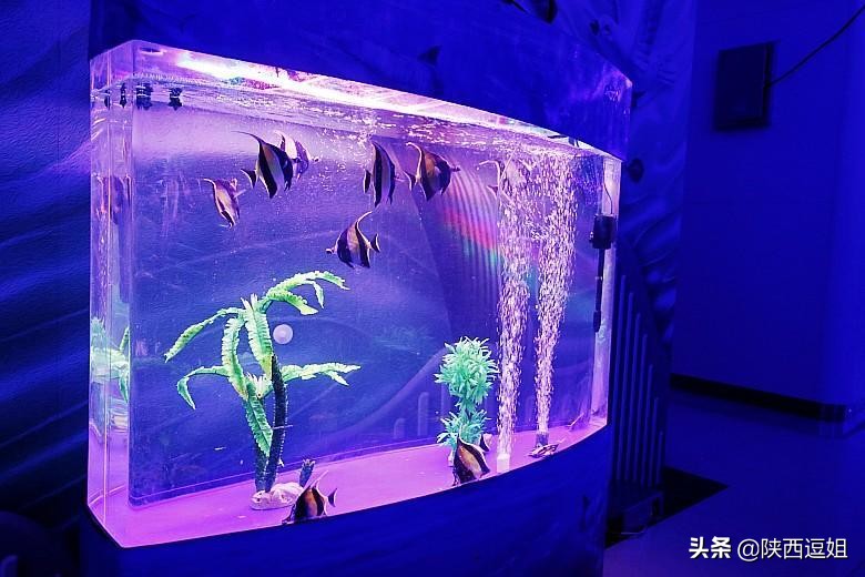 五一长假到哪儿,西安五一游玩攻略一览表