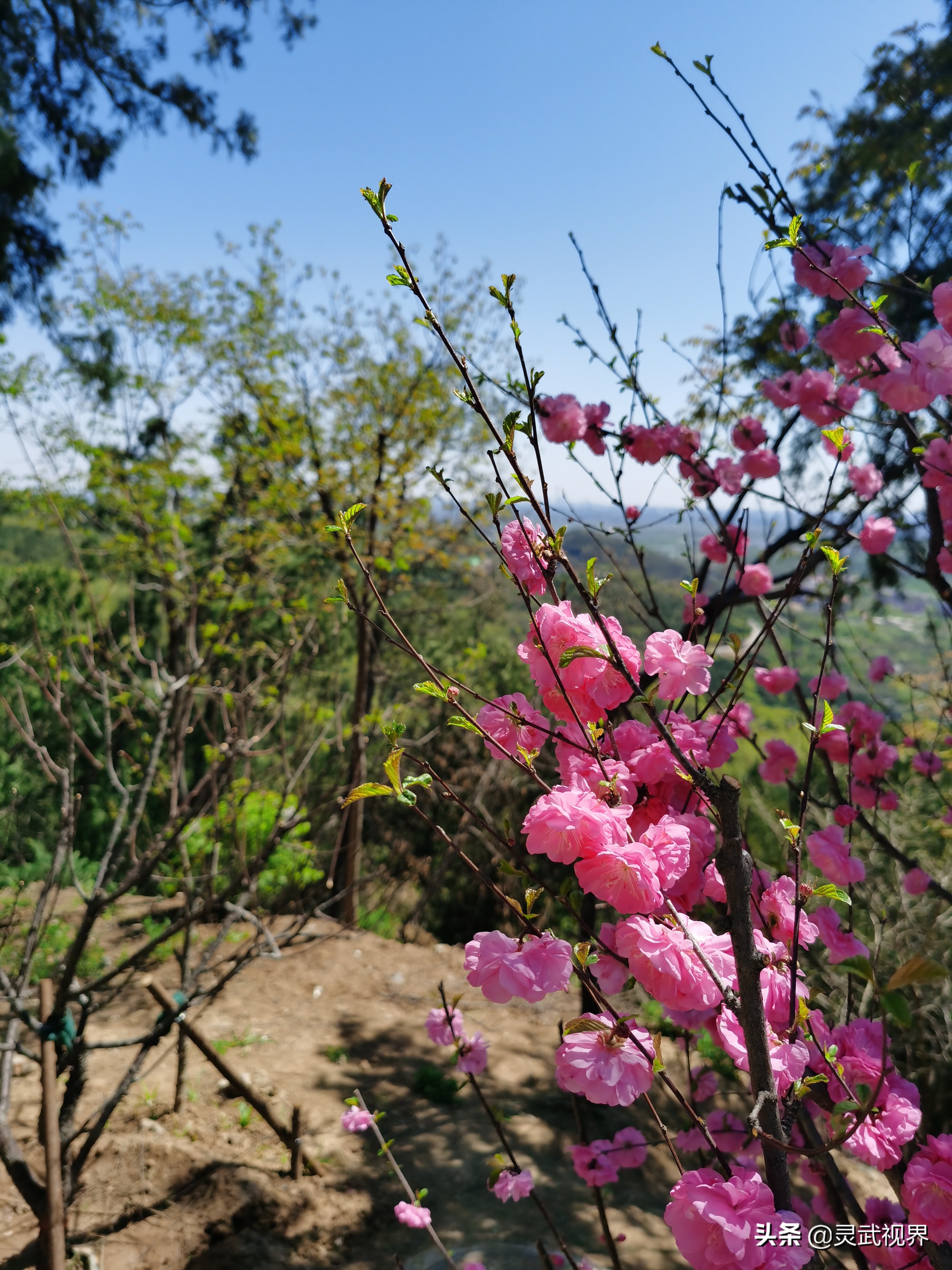 带你看看不一样的装饰,带你看看不一样的家