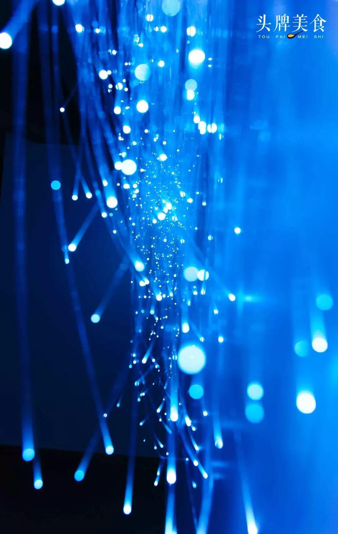 绚丽珊瑚海300+种海底生物，火爆盆友圈的网红打卡圣地就在中山路