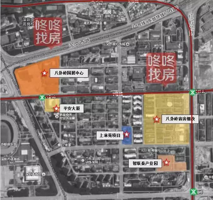 还在纠结考哪个学校,八卦岭荔园小学和园岭实验哪个好