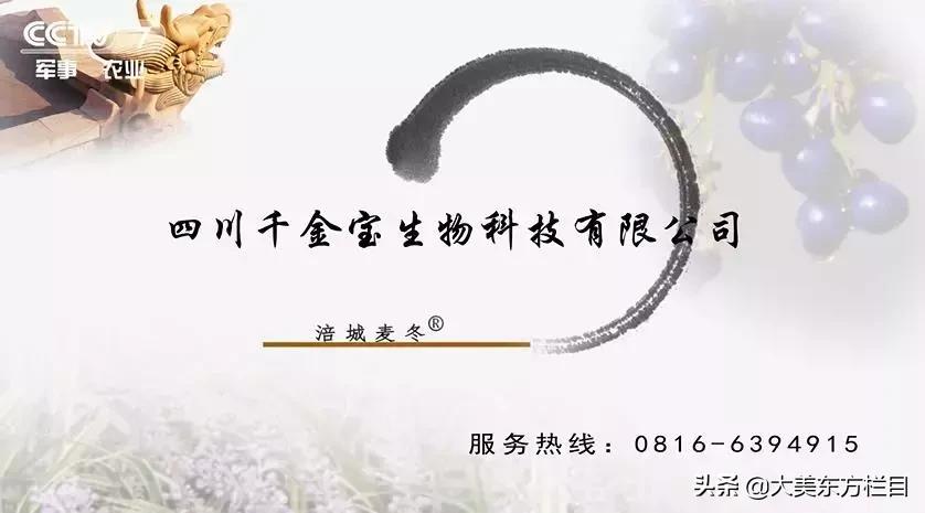 大美东方栏目新乡,大美东方高一61班直播