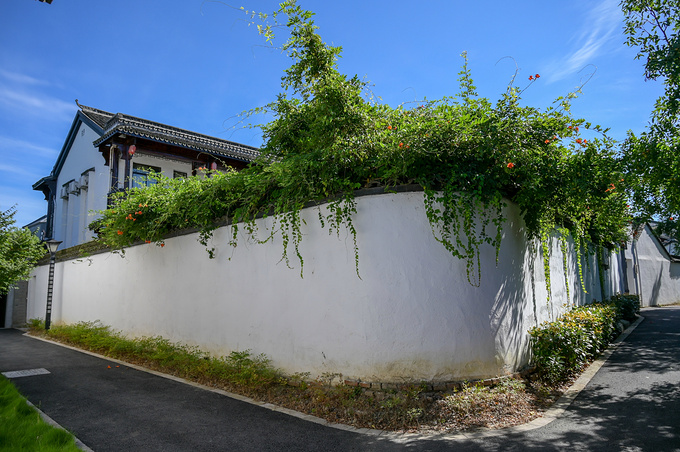 中秋嘉兴玩的地方推荐,八月嘉兴