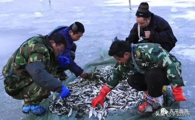 带着你的胃，寻找东平味儿