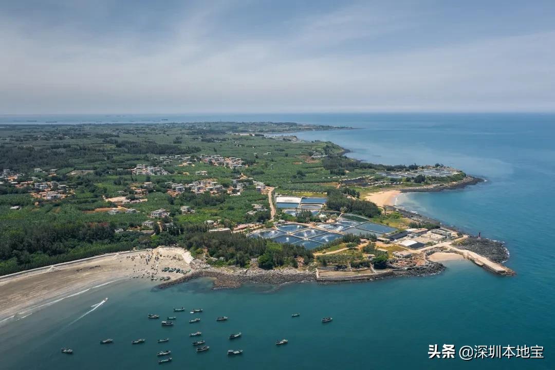 深圳出海到达的超美海岛,深圳最美海岛旅游攻略