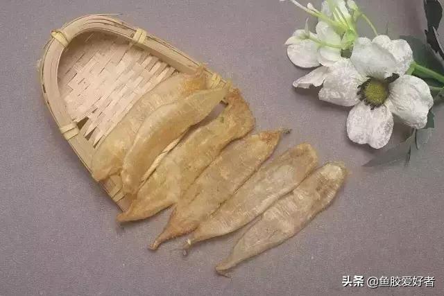 花胶的说法,花胶疑问