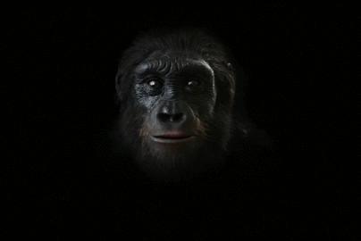 为什么喝咖啡很亢奋,喝咖啡变得特别兴奋