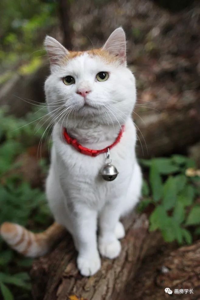 大学摄影专业值得学吗,在美院上学是什么体验