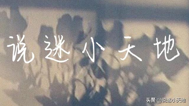 影帝与小土狗灵魂互换爱上美丽代购小姐姐《十二点的辛德瑞拉》