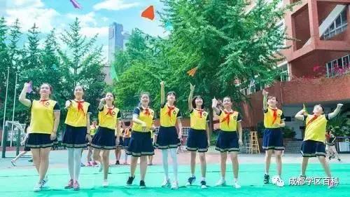 盐道街小学是五朵金花吗,五朵金花深度解析