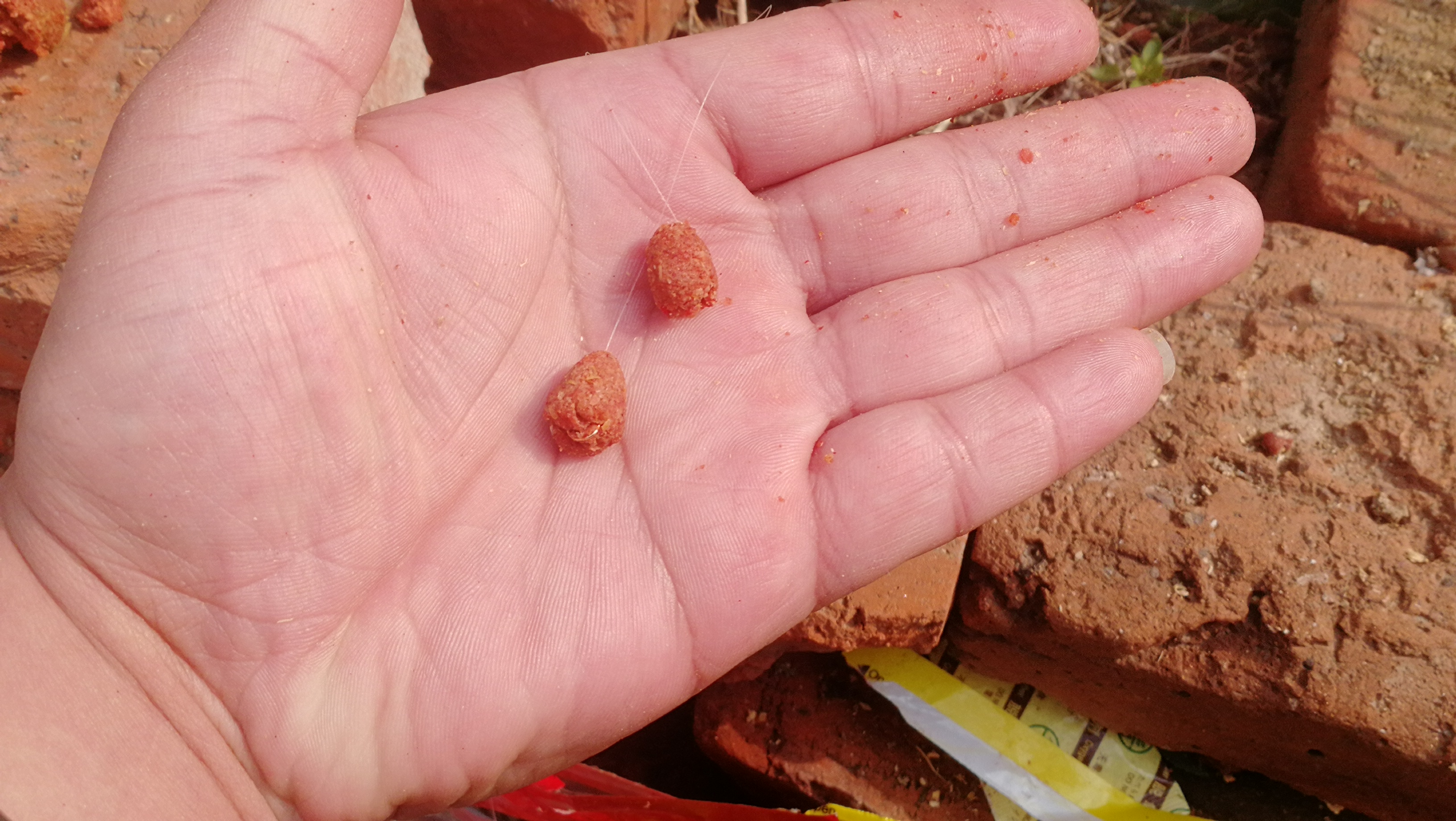 这种鱼哪都有，而且一来就是一大群，吃口又快又猛，别说你没钓过