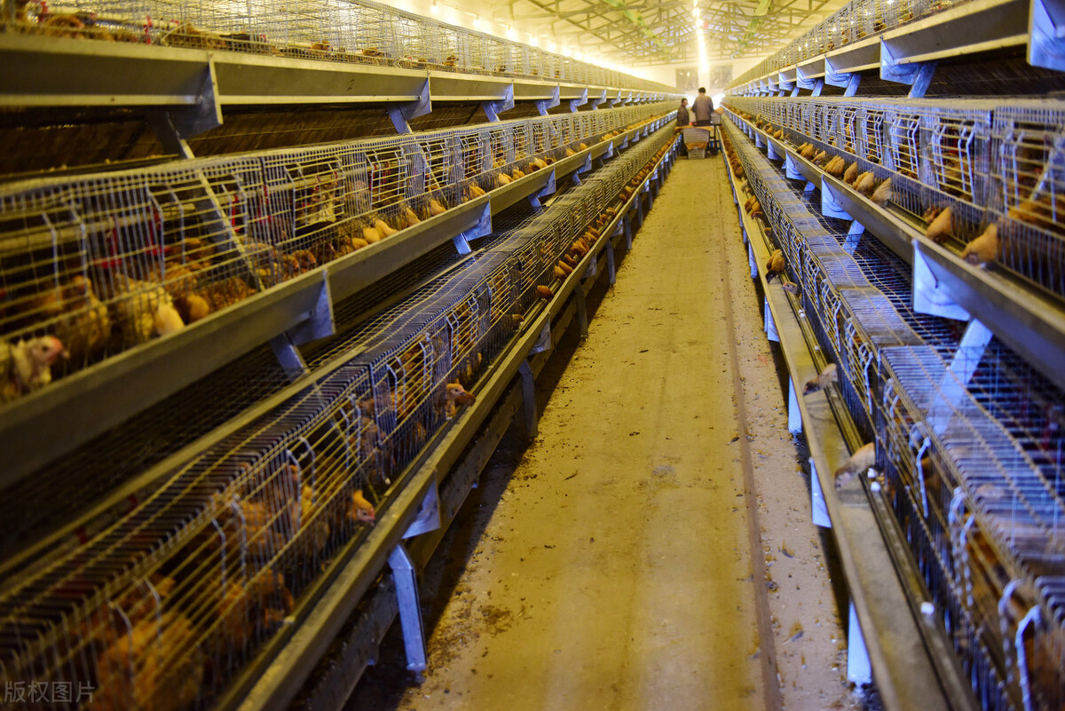 曲靖创业商机,云南曲靖100个项目