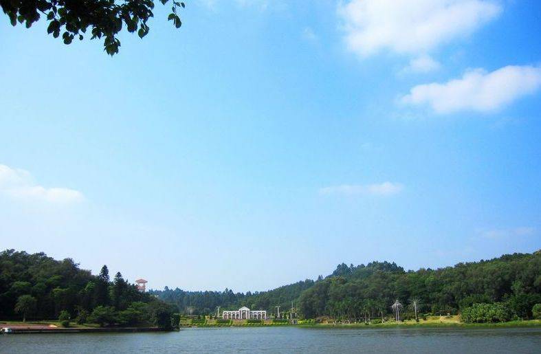 欧洲美食海鲜自助,嗨翻中山融合菜