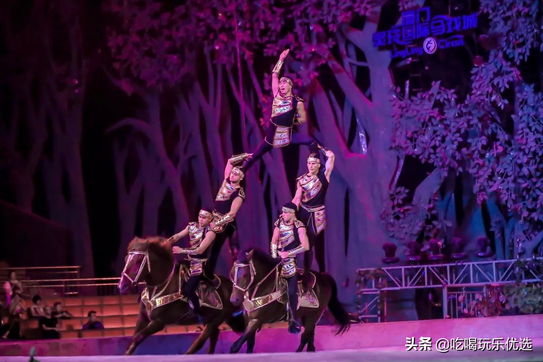 厦门灵玲动物王国大熊猫,厦门马戏团灵玲动物王国观光游览