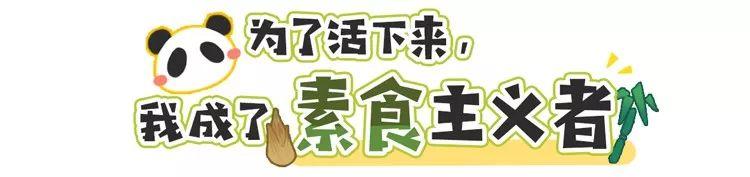 围观中国网红神兽羞羞视频，这是什么特殊爱好？