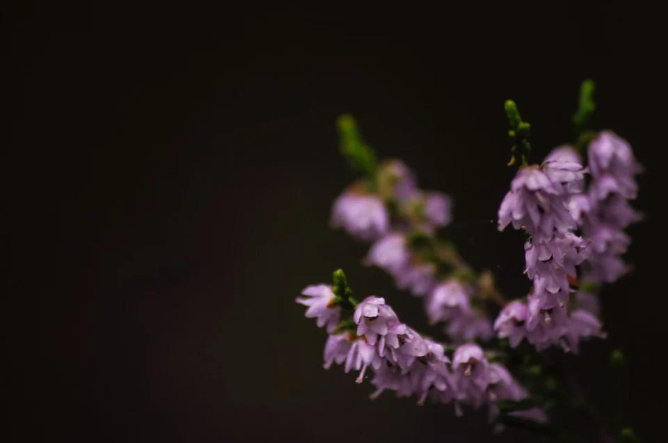 丧兄之痛最伤感的句子,简短干净丧到极致的句子