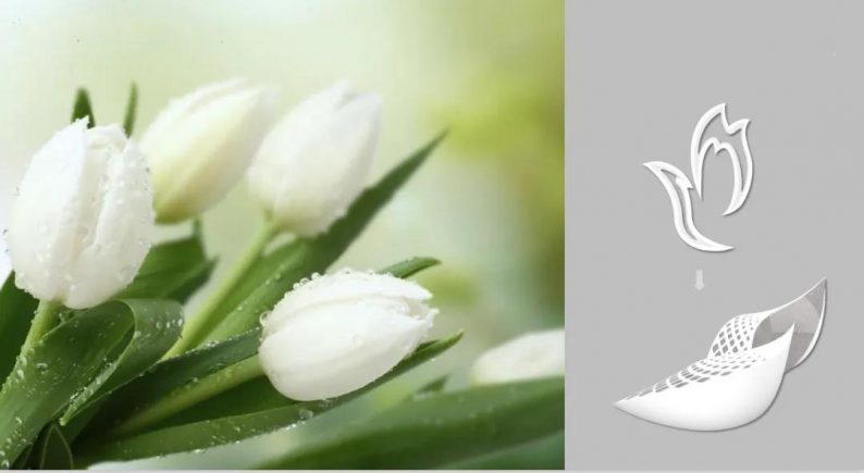 “永结同心”婚礼目的地规划方案亮相