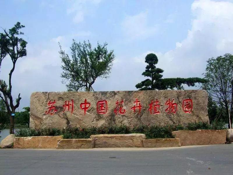 何必远赴日本！这个超级浪漫的赏樱地已花开成海，错过后悔一年