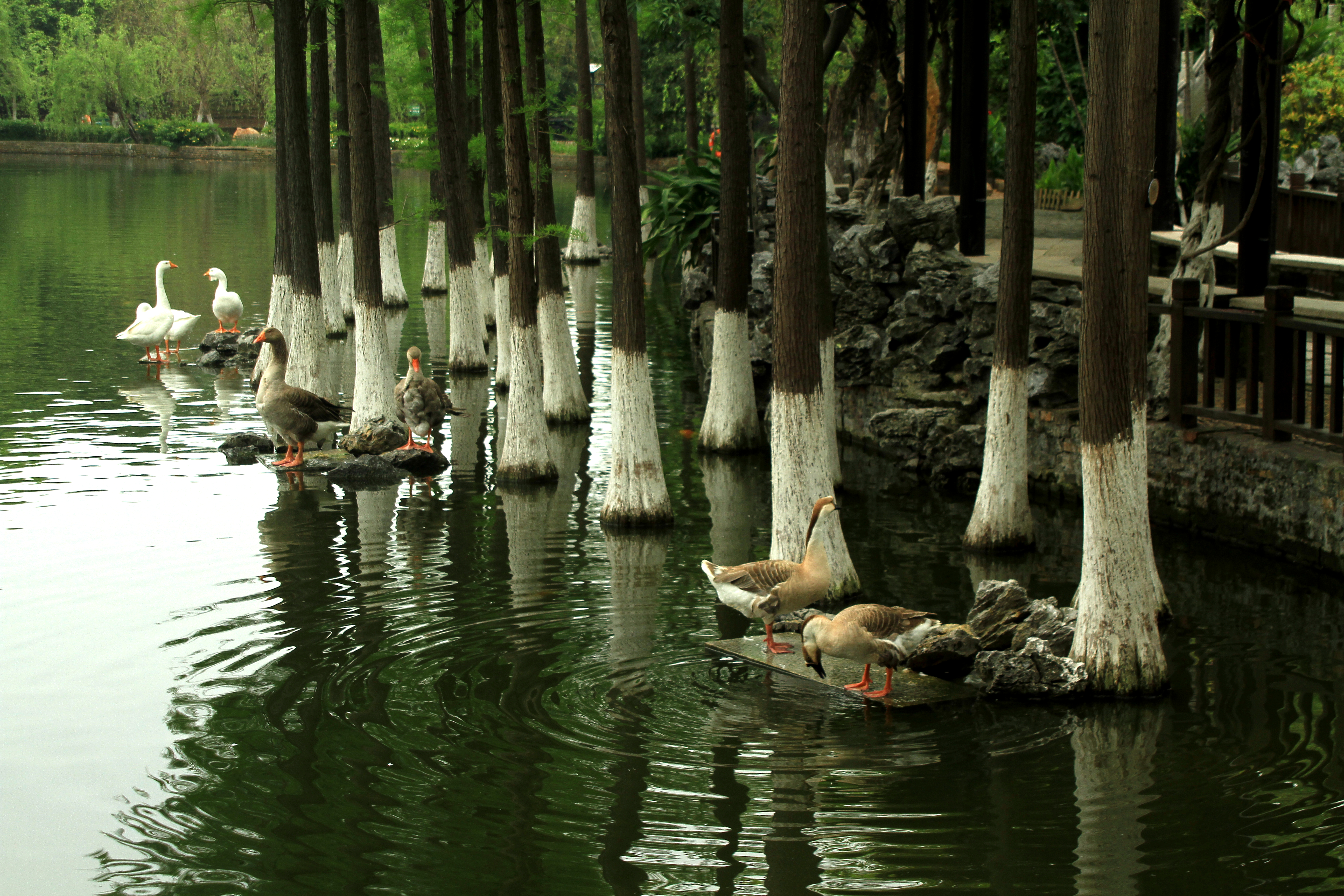 在乎山水：广东东莞之可园—园小乾坤大