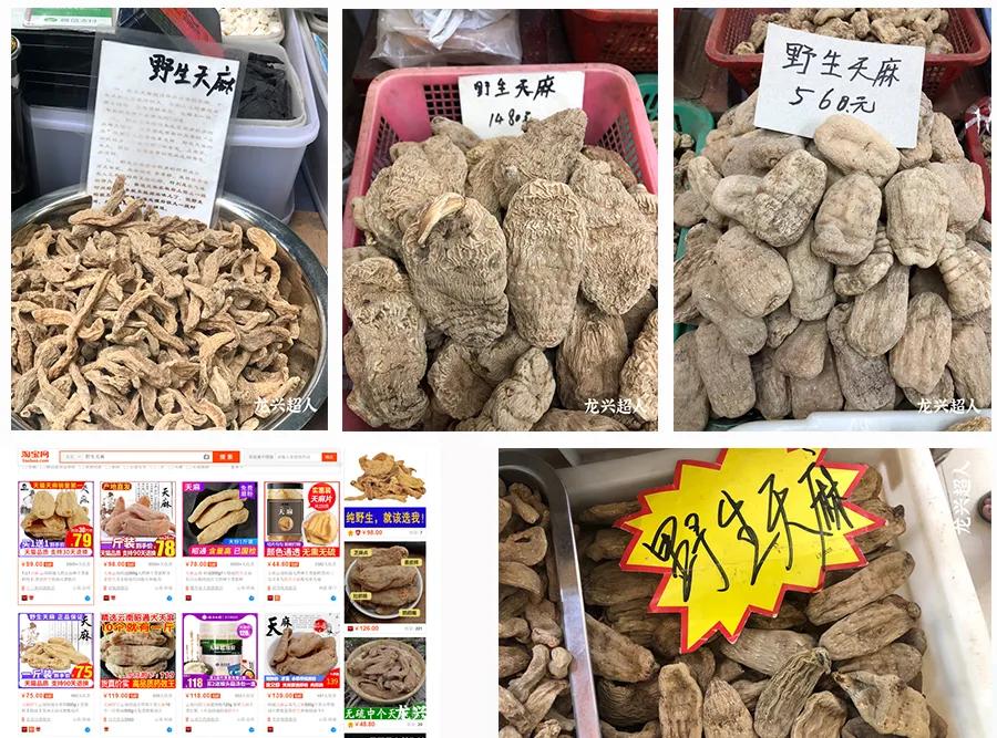 贵州的道地药材天麻,天麻属于哪里的道地药材