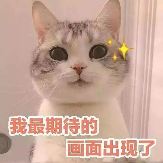 你知道猫咪胡须的秘密么,捡到猫咪的胡子有什么寓意