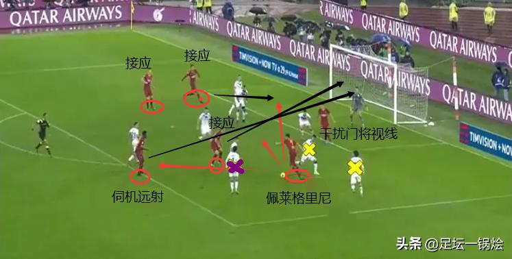 狼崽到狼王的蜕变,深度解析佩莱格里尼