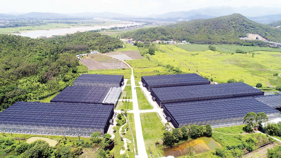 惠州市乡村振兴申报项目名单,惠州乡村振兴