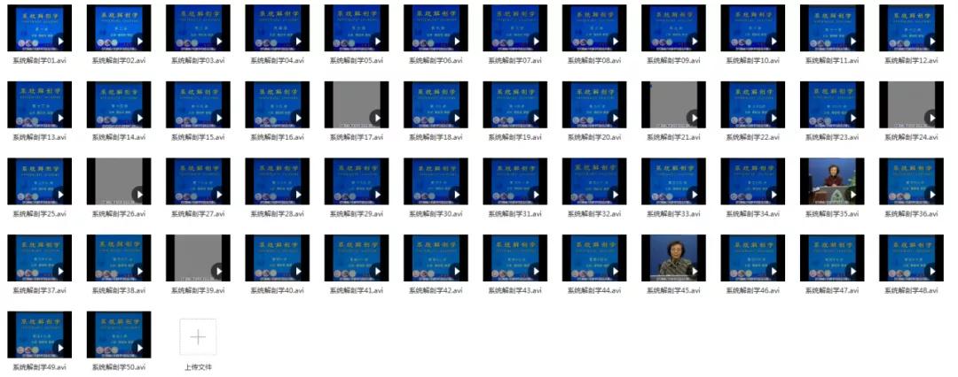 210G解剖学视频，包含系统、断层、运动、人体和局部解剖学