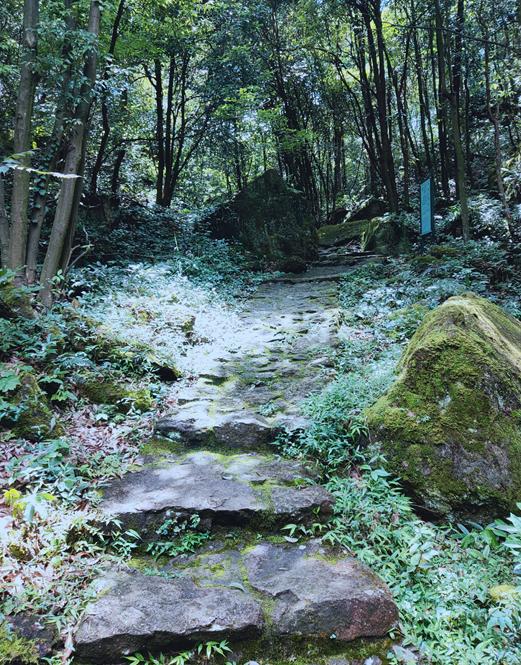 金华这座1.5亿高龄的山峰，浓翠蔽日，风清月朗，还有试胆石等你去挑战