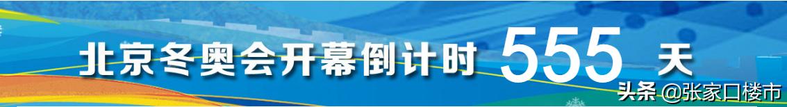 张家口人工草坪足球场,张家口冰雪体育
