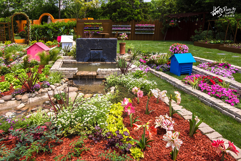 上海国际花展一览表,上海国际花展一览