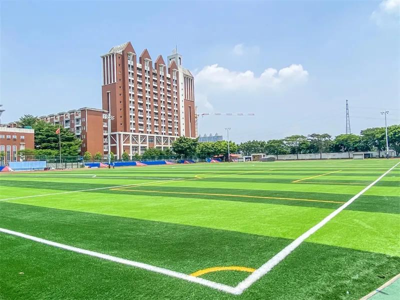 出彩！傲胜人造草被体育工作示范校优先采用
