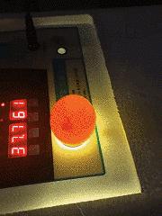 搞笑动图gif兔子,搞笑动图gif猫咪